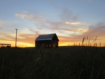 IMG_0529_2